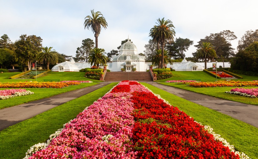 The Gem of Golden Gate Park
